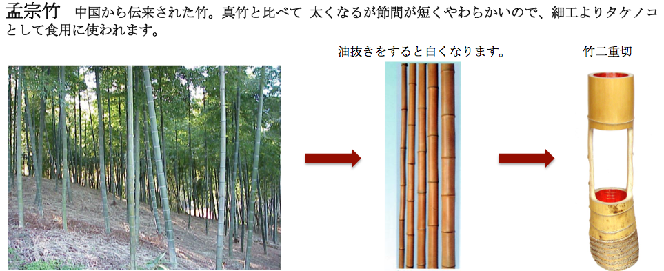 竹について