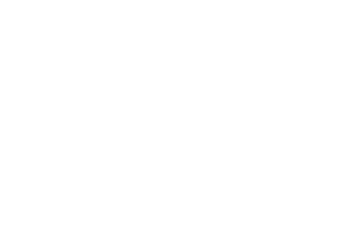 竹とすだれ西河